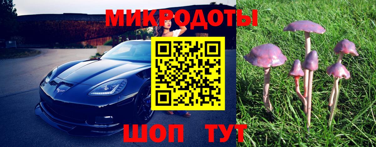 Псилоцибиновые грибы мухоморы Новый Уренгой