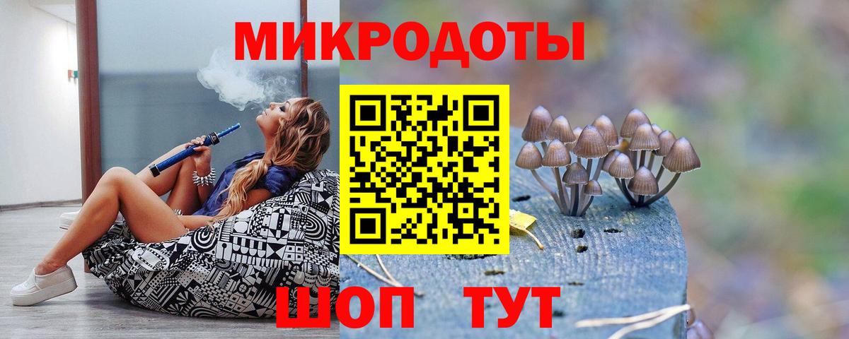 Псилоцибиновые грибы Psilocybine cubensis  Вход с VPN  Новый Уренгой 